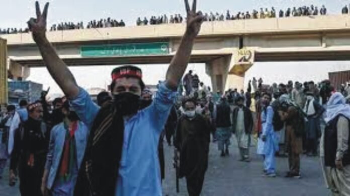 PTI's appeal against appointment of State Council in November 26 protest case approved