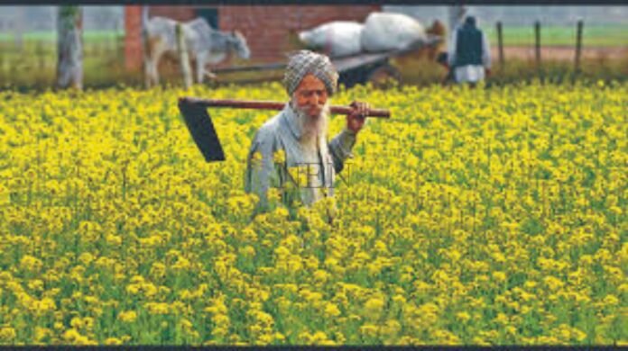 Punjab's new budget draft ready but farmers' old payments not yet made