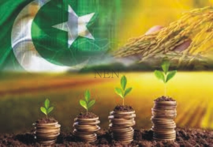 2 years of SIFC; Revolutionary progress in agriculture, livestock and blue economy